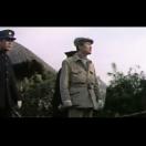 StillCut_0
