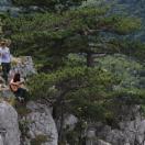 StillCut_9