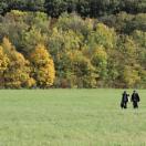 StillCut_29