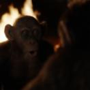 bodo_still_05.jpg