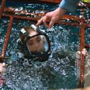 StillCut_6