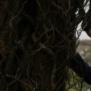 StillCut_12