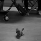 StillCut_0