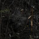 StillCut_5