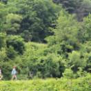 StillCut_11