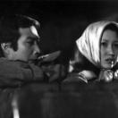 StillCut_7