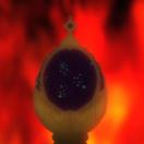 StillCut_27