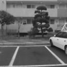 StillCut_0