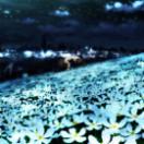 StillCut_9