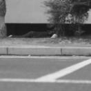 StillCut_1