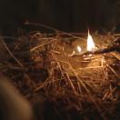 StillCut_2