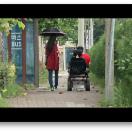 StillCut_0