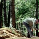 StillCut_1