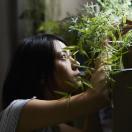 StillCut_13