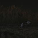 StillCut_1