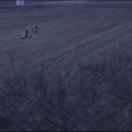 StillCut_4