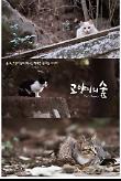 영화 포스터