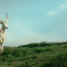StillCut_6