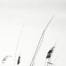 StillCut_5
