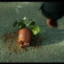 StillCut_4