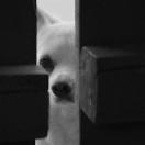 StillCut_6