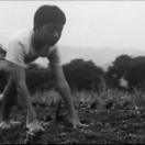 StillCut_1