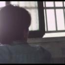 StillCut_0
