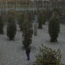 StillCut_2