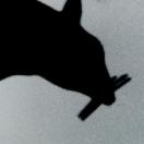 StillCut_0