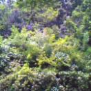 StillCut_2