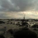StillCut_0