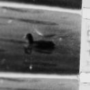 StillCut_0