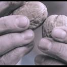StillCut_15
