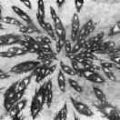 StillCut_2