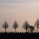 StillCut_8