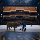 StillCut_2