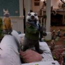StillCut_17