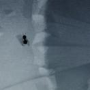 StillCut_0