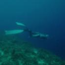 StillCut_18