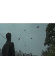 stillcut_1_12018052513536.jpg