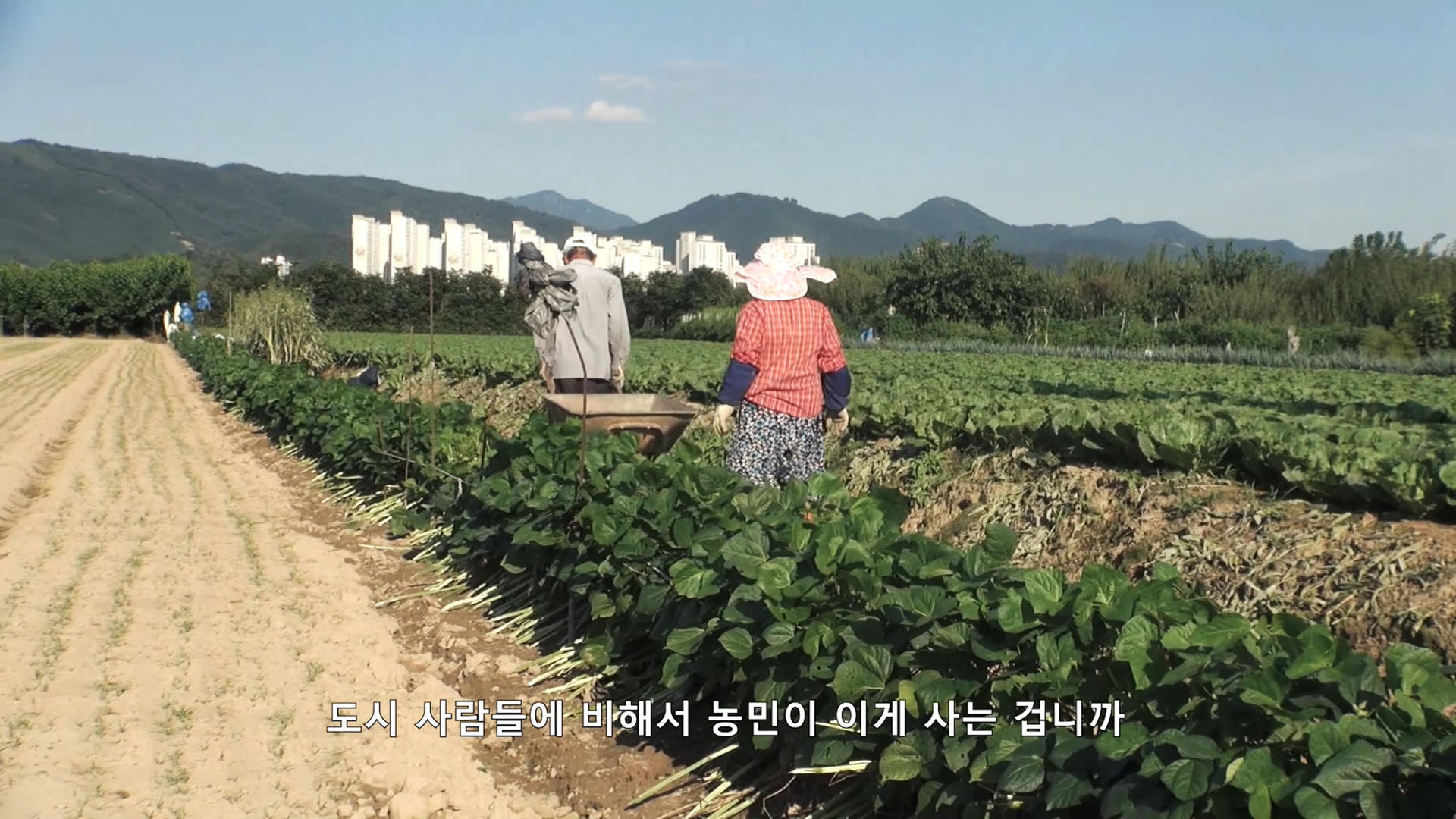 공존