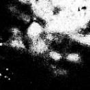 StillCut_3