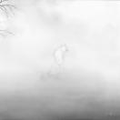 StillCut_0