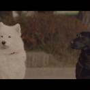 StillCut_1