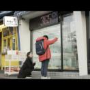 StillCut_0