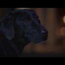 StillCut_2