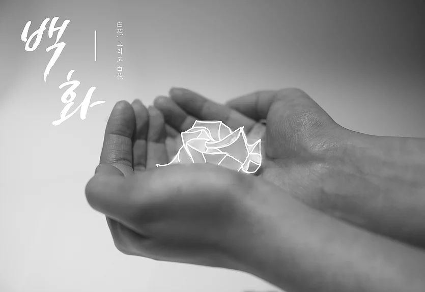 백화