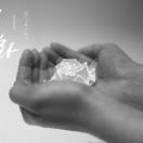 StillCut_2