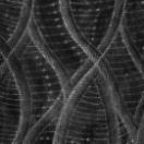 StillCut_0