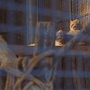 StillCut_10
